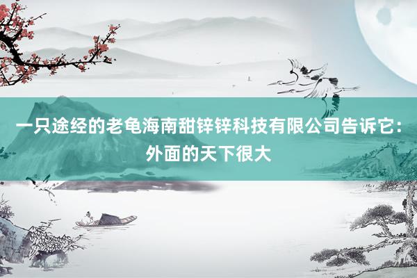 一只途经的老龟海南甜锌锌科技有限公司告诉它：外面的天下很大